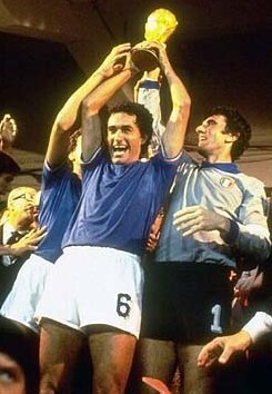 王俊杰的动 王俊杰的动