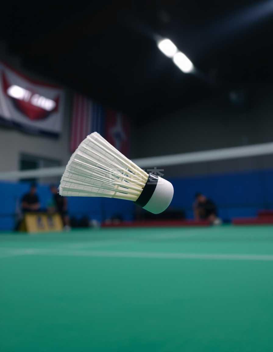 的关键战 的关键战